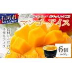 マンゴーアイス 6個