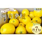 ふるさと納税 ＜《5月�