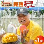 えみちゃん農園の完熟マンゴー約1キロ