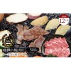 A5等級 飛騨牛 焼肉用 500g