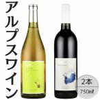 アルプスワイン デラウェア ベーリーAドライ2本セット