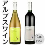 アルプスワイン デラウェア ベーリーAバレル2本セット