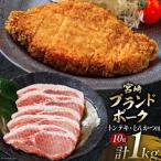 豚肉 小分け 宮崎ブランドポーク ロース トンテキ