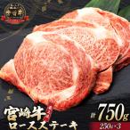 牛肉 宮崎牛 ロース ステーキ 250g