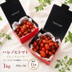 トマト ハレノヒトマト プレミアム 1kg