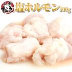 ホルモン 松阪牛 秘伝 塩 500g