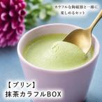 プリン 抹茶カラフルBOX6 陶磁器