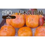 次郎柿 樹齢90年越え古木