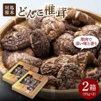 対馬 原木 どんこ椎茸 95g×2箱