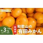 有田みかん 和歌山 訳あり 小玉 2S 3Sサイズ混合 3kg