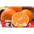 秀品 セミノール 和歌山 有田 M~3Lサイズ