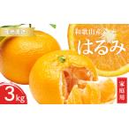 訳あり はるみ 和歌山 有田 2S~3Lサイズ混合 3kg