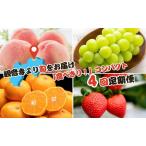 ふるさと納税 【2025年受付】ご家庭用 食べきり 旬果フルーツ定期便 全4回  香川県観音寺市