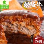 松阪牛入ハンバーグ 5個