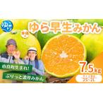 ゆら早生 7.5kg