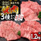 産黒毛和牛 モモ 肩ロース ウデの焼肉3種セット