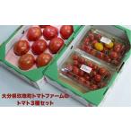 トマト3種セット 観光農園トマトファーム