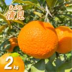 低農薬栽培清見 2kg