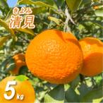 低農薬栽培清見 5kg