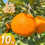 低農薬栽培清見 10kg