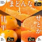 ショッピング甘平 ふるさと納税 【発送月固定定期便】「こたつの上の冬物語」高級3品種　まどんな＋甘平＋せとか【H49-73】全3回【4056124】 愛媛県八幡浜市