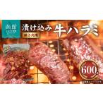 ふるさと納税 漬け込�