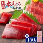 漁連 天然本マグロ 赤身サク M077-012-01