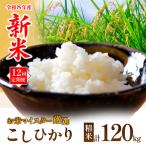 お米マイスターセレクト茨城産コシヒカリ