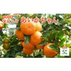 �ӂ邳�Ɣ[�� ��s�\�� �݂��� ���g���� ����������� ��5kg 45�`55�� �g�c�����j�[ 2026�N11����{����2027�N1�����{�����\�� �F�{���F��s