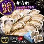 生牡蠣殻付き開殻8個 牡蠣