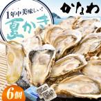 生牡蠣夏かき6個 牡蠣