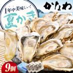 生牡蠣夏かき9個 牡蠣