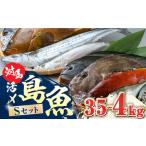対馬 活〆 島魚セット 3.5ー4kg 冷蔵