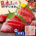 漁連 天然 本マグロ 中トロ 赤身 セット M077-013-03