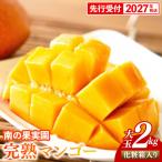 南の果実園 完熟マンゴー 大玉 2kg