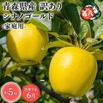 りんご シナノゴールド5kg