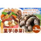 里芋 赤芽里芋 約3kg