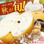 梨 新興 5kg