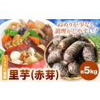 里芋 赤芽里芋 約5kg