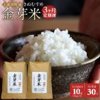 令和7年産 金芽米 きぬむすめ 10kg