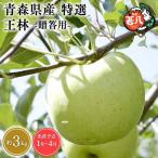 りんご 特選 王林 3kg