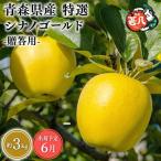 りんご 特選 甚八りんごシナノゴールド3kg