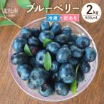 O-B-Iベリ―農園の冷凍ブルーベリー2kg 500g×4