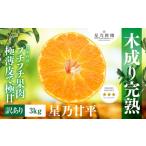 ショッピング甘平 ふるさと納税 【訳あり】星乃みかん園の甘平(3kg)【C45-88】【1535971】 愛媛県八幡浜市