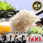 産生しらす 冷凍 計600g