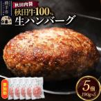 秋田牛100% 生ハンバーグ 190g×5個