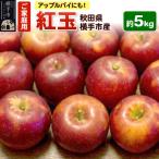 アップルパイやタルトにも りんご 紅玉 ご 約5kg
