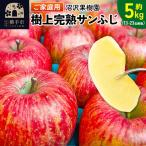 りんご 樹上完熟 サンふじ 約5kg