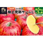 ふるさと納税 《定期便3ヶ月》樹上完熟サンふじ ご家庭用 約5kg(13〜23玉前後)×3回 計15kg 3か月 3ヵ月 3カ月 3ケ月 秋田県横手市