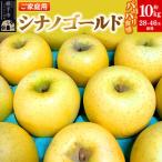 りんご シナノゴールド 約10kg